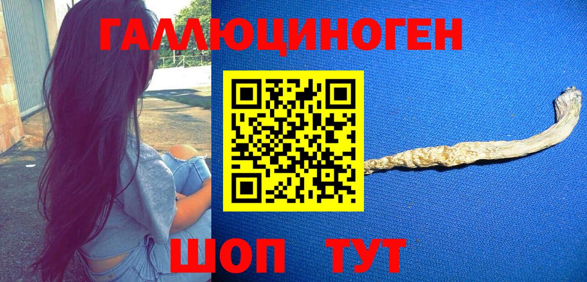 где купить наркотик  Галлюциногенные грибы прущие грибы  Вход с VPN  Богородск  Галлюциногенные грибы мухоморы 