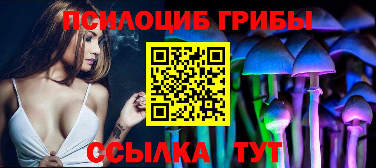 Псилоцибиновые грибы ЛСД Богородск